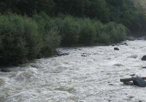 Росприроднадзор выявил сброс неочищенных стоков в реку Таргайдон в Северной Осетии